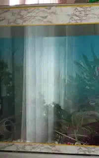 آکواریوم نونو