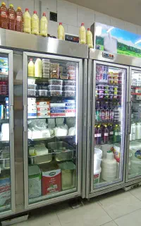 تعمیر انواع یخچال ایستاده تاپینگ ویترینی شوکیک گاز