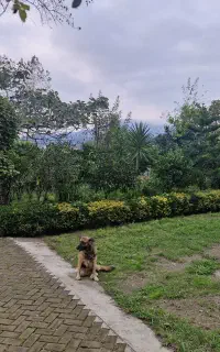کارگر ساده