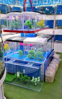 انواع مینی آکواریوم وآکواریوم آماده شرکت آکوا