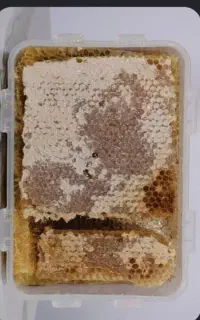عسل طبیعی