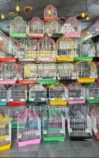 قفس لوازم بازی کوله کیف حمل طوطی پرنده