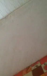 تشک تک نفره