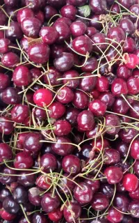 گیلاس سبدی
