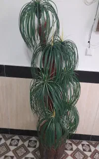 گل مصنوعی
