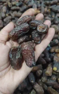 خرمای پیارم  کیلو700/000