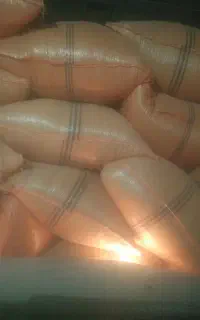 کاه گندم