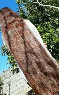 کلینیک تخصصی خرید  مو بانوان شعبه اصلی اردبیل