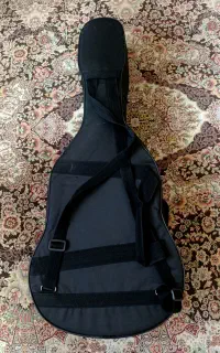 سافت کیس گیتار