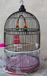 قفس پرنده فول با وسایل