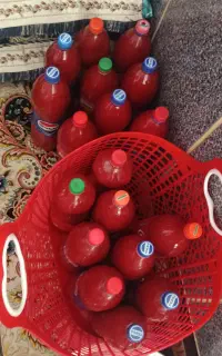 رب خانگی