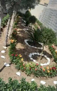 خدمات تخصصی باغبانی و فضای سبز