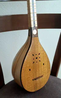 سه تار حرفه ای قیمت استثنایی
