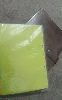 کلاسور