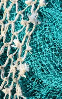 قایق طور دفاری-حلقه ای بندر کنگان