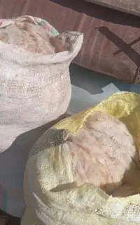 پشم گوسفند ۱۵۰تومن