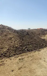 کودحیوانی