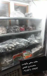 ماهی تازه جنوب