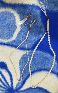 تسبی دون داز