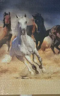 پازل 2000 تکه