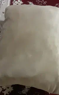 شش عدد بالشت