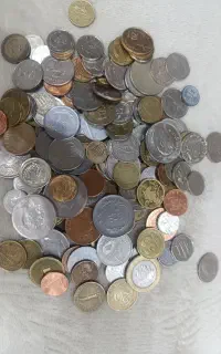 سکع فروش و خرید