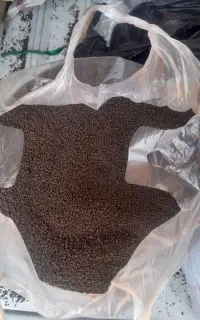 چای
