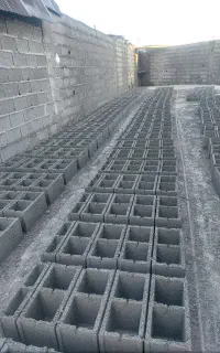 بلوک زن ماهر و باسابقه