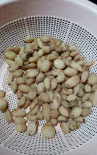 ثعلب قلوه ای
