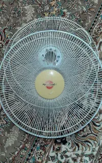 گارد یا توری پنکه