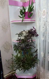 استند گل وگیاه یابوفه عروسک کنارکمدبچه