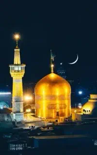 مجری مستقیم تور مشهد