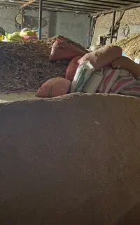 نان خشک نون خشک