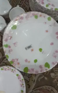ارکوپال امارات