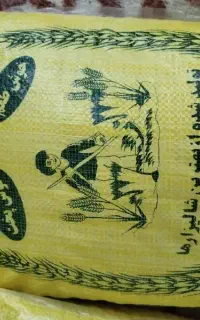 پخش برنج چمپا