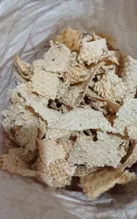 نان خشک دام