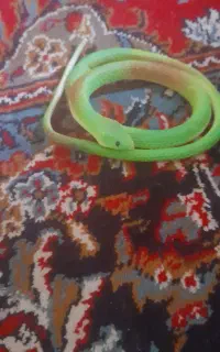 فروش اسباب‌بازی مار
