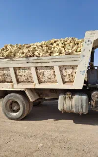 تولید و توزیع اجر سه گل و فشاری