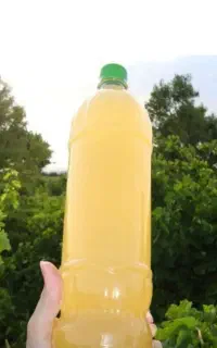 آبغوره درجه یک زرقان