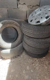 لاستیک بارز ۱۸۵ ،۱۴ ، ۲۰۲۳