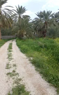 لوازم اسب سواری