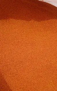 خاکشیر درجه۱ بوجاری شده