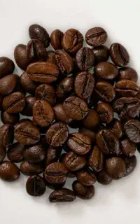 فروش قهوه رس شده دان