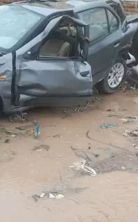 سمند تصادفی مدل  ۸۵