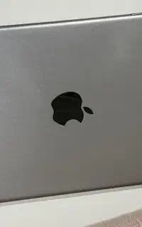 ipad mini4 128 gb celluar wifi