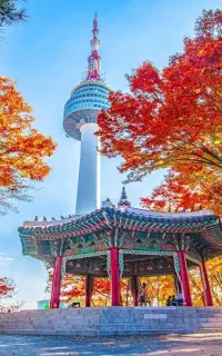آموزش زبان کره ای و ژاپنی و انگلیسی