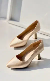 کفش مجلسی