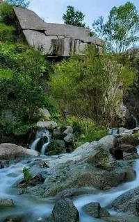 همراه طبیعت گردی و پیاده روی