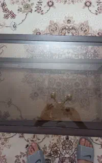 میزجلو مبلی و میز عسلی
