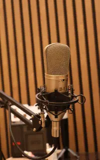 میکروفون حرفه ای Behringer B1